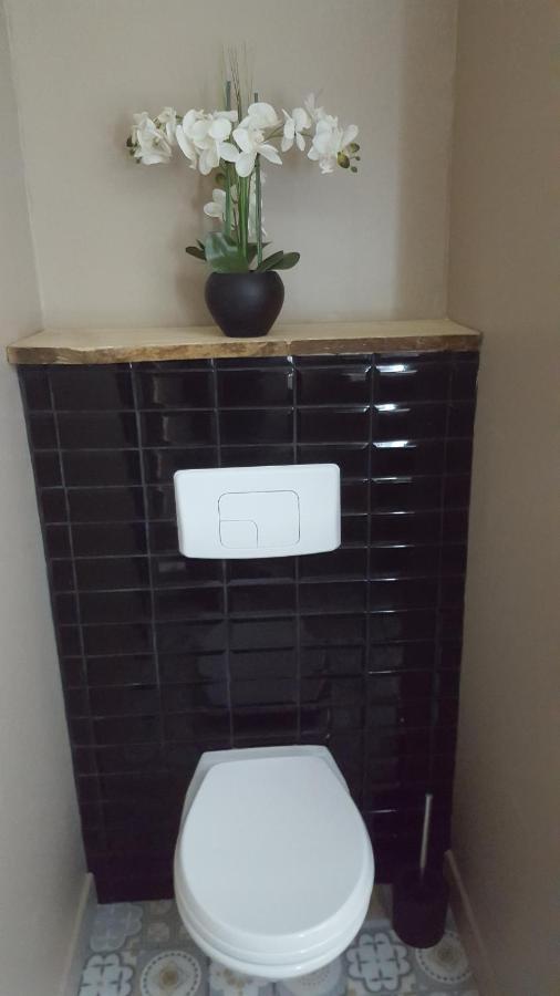 Appartement Spacieux Et Atypique Sedan Εξωτερικό φωτογραφία