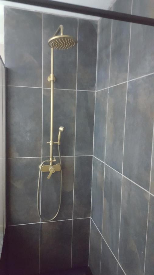 Appartement Spacieux Et Atypique Sedan Εξωτερικό φωτογραφία